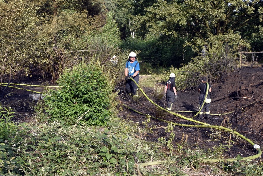 Waldbrand Koeln Hoehenhaus Hoehenfelder Mauspfad P120.JPG - Miklos Laubert